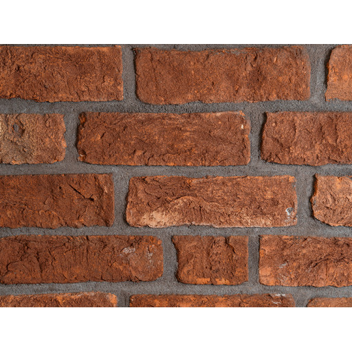 Hans Bekker 1920